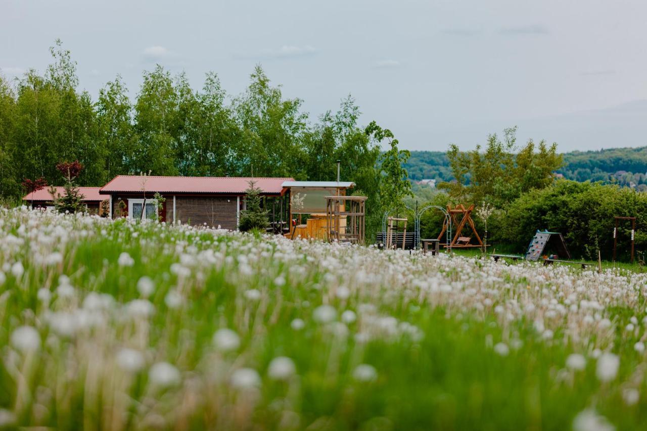 Na Gorniej Lace - Dwa Wroble Holiday home *
