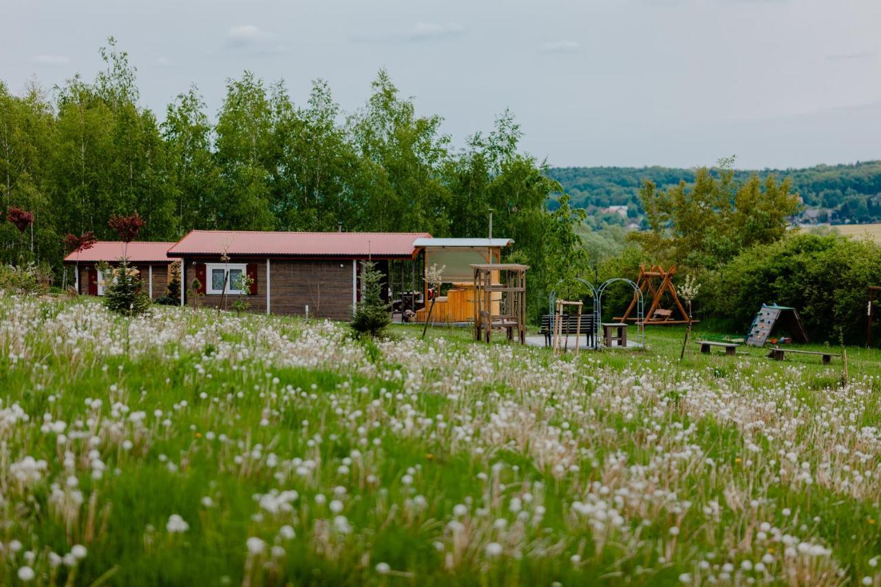 Holiday home Na Gorniej Lace - Dwa Wroble *